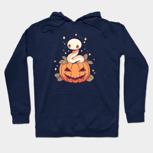 Snake in a pumpkin Hoodie